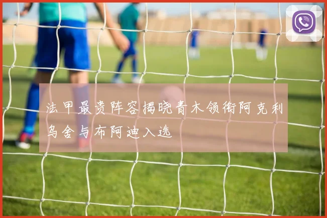 法甲最贵阵容揭晓青木领衔阿克利乌舍与布阿迪入选