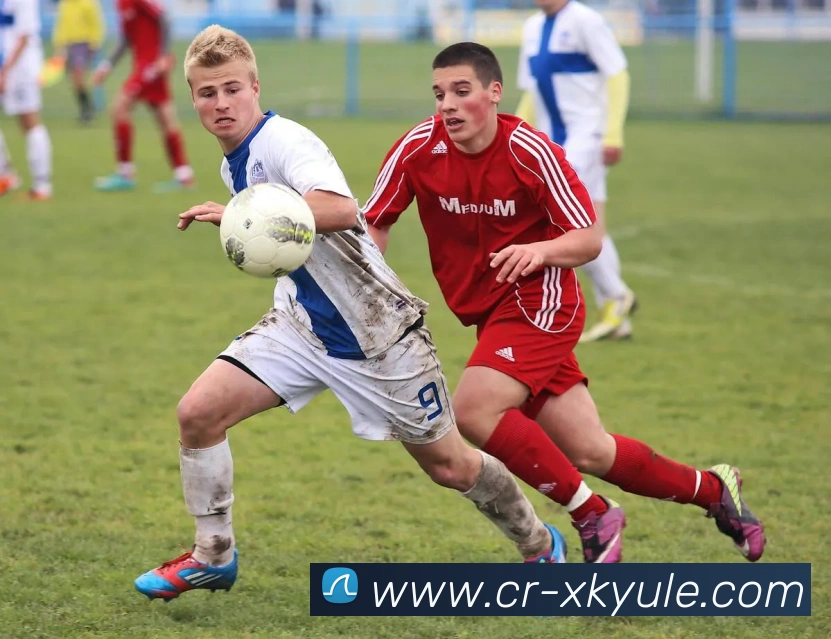 星空娱乐服务体系