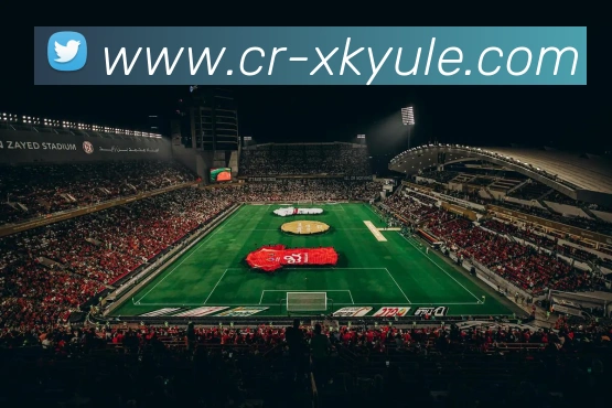 多媒体互动体验